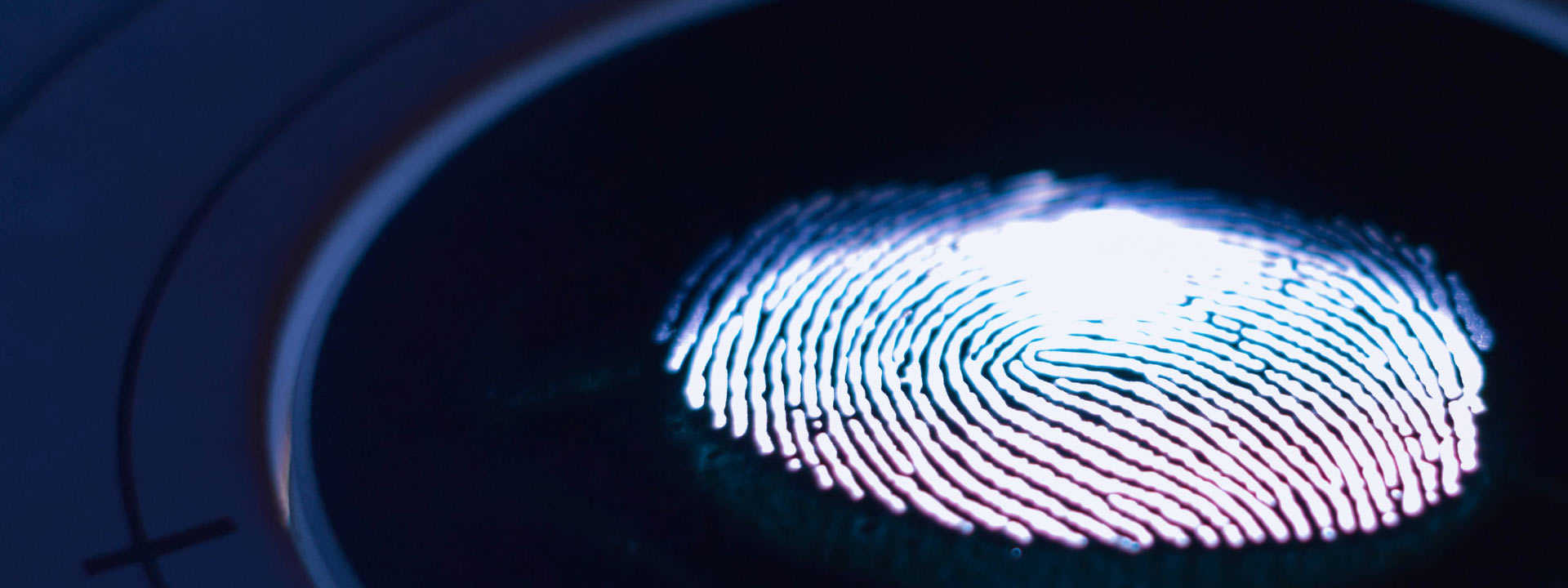 fingerprint_illustration